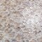 Apollo Tile Concha 11.3 in. x 11.8 in. Polished White, Beige Shell, Mother of Pearl Mosaic Wall Tile 20PK APLSMA88BR01A - alternate 1